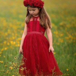 NWT Trish Scully Red Clarissa dress